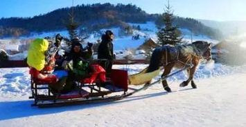 成人滑雪爬犁制作视频,跟随视频教程轻松入门
