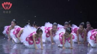 舞蹈独舞成人花神视频大全,成人独舞艺术之美赏析