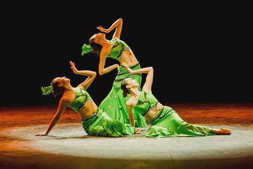 艺境成人舞蹈视频大全集,成人舞蹈视频大全集精彩回顾