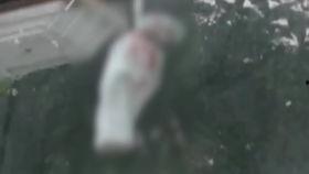 活人变成人偶视频大全